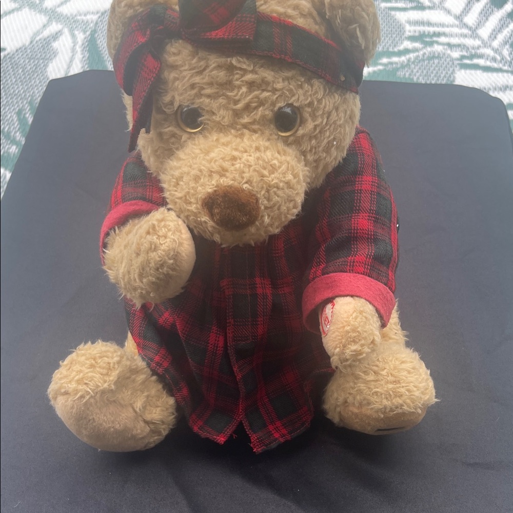Plaid‎ Red and Black Teddy Bear
